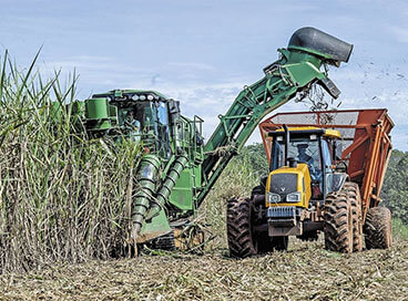 Produção da cana-de-açúcar se aproxima do recorde histórico de 2015, diz Conab