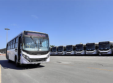 Porto de Paranaguá embarca 157 ônibus em lote único e bate recorde