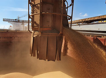 Nova safra de soja começa a ser exportada pelo Porto de Paranaguá